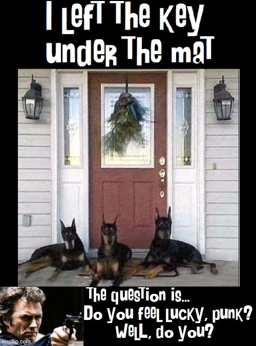 Living Dangerously for the Holidays | image tagged in vince vance,dogs,memes,doberman pinscher,clint eastwood,do you feel lucky | made w/ Imgflip meme maker