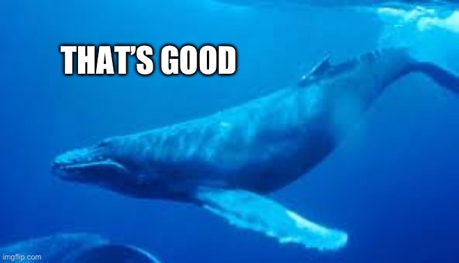 Whale that’s good | THAT’S GOOD | image tagged in whale | made w/ Imgflip meme maker