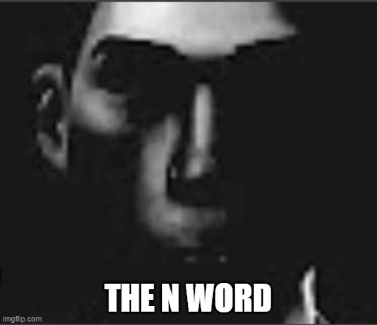 what | THE N WORD | image tagged in what | made w/ Imgflip meme maker