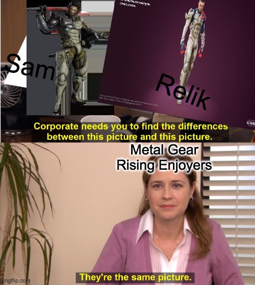 Metal Gear rising | Sam; Relik; Metal Gear Rising Enjoyers | image tagged in metal gear rising,fortnite | made w/ Imgflip meme maker