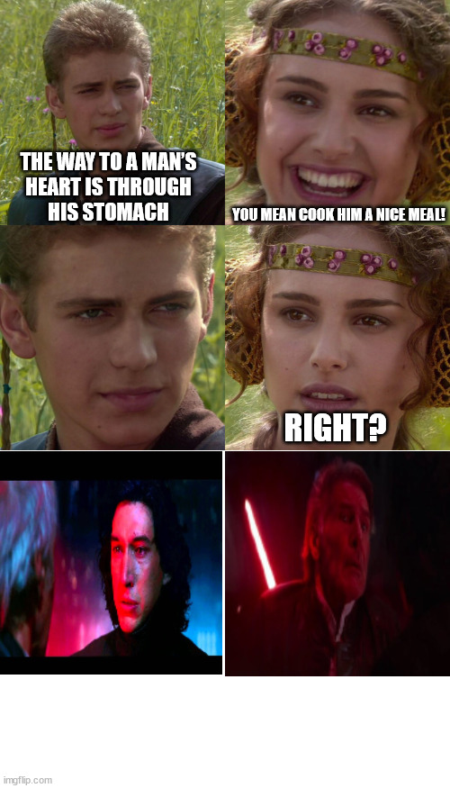 The way to a man's heart is through his stomach | THE WAY TO A MAN’S
HEART IS THROUGH
HIS STOMACH; YOU MEAN COOK HIM A NICE MEAL! RIGHT? | image tagged in anakin padme 4 panel,man's heart,stomach,kill,oh wow are you actually reading these tags | made w/ Imgflip meme maker