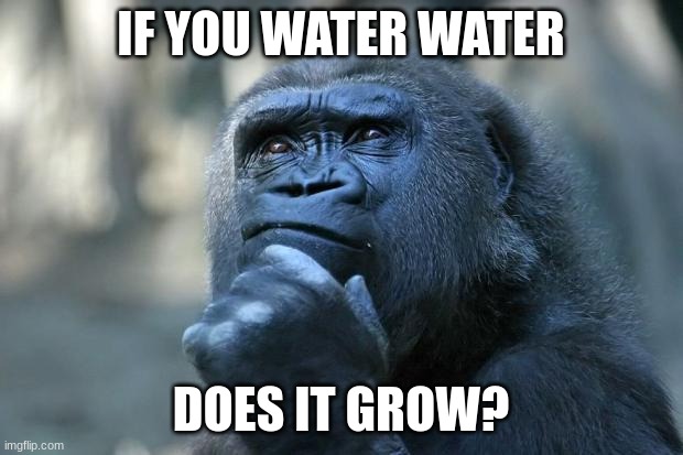 Deep Thoughts | IF YOU WATER WATER; DOES IT GROW? | image tagged in deep thoughts,water,gorilla,smart,thinking,hmmmmmmm | made w/ Imgflip meme maker