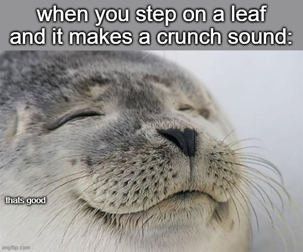 satisfying asmr | when you step on a leaf and it makes a crunch sound:; thats good | image tagged in memes,satisfied seal | made w/ Imgflip meme maker