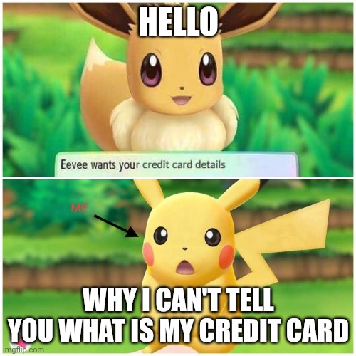 Eevee becomes a cashier or something | HELLO; WHY I CAN'T TELL YOU WHAT IS MY CREDIT CARD | image tagged in credit card details | made w/ Imgflip meme maker