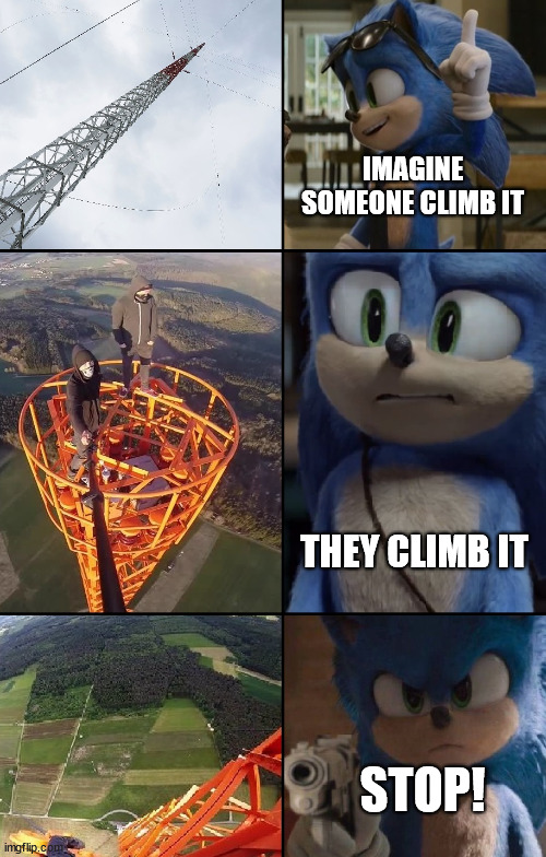 Sonic meets climbers | IMAGINE SOMEONE CLIMB IT; THEY CLIMB IT; STOP! | image tagged in donebach,sonic the hedgehog,sonic,meme,template,latticeclimbing | made w/ Imgflip meme maker