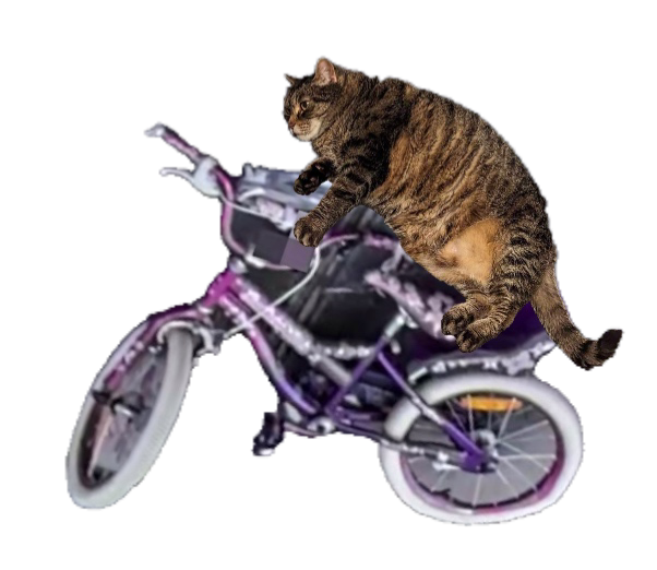 Blair on her bike Blank Meme Template