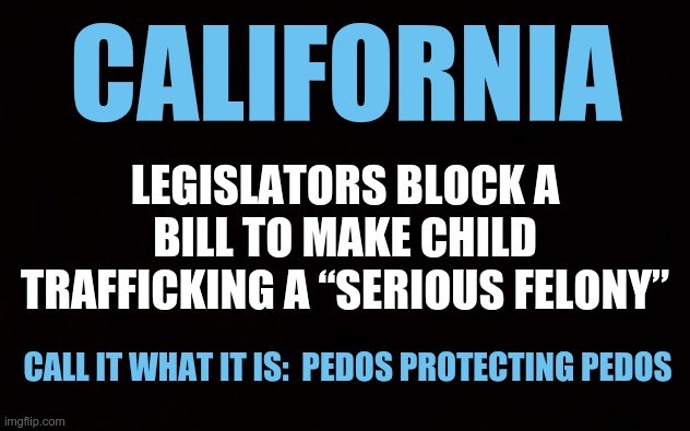 California Legislators are Protecting Pedos? | CALIFORNIA; LEGISLATORS BLOCK A BILL TO MAKE CHILD TRAFFICKING A “SERIOUS FELONY”; CALL IT WHAT IT IS:  PEDOS PROTECTING PEDOS | image tagged in wide black blank meme template,pedophilia,california,child trafficking | made w/ Imgflip meme maker