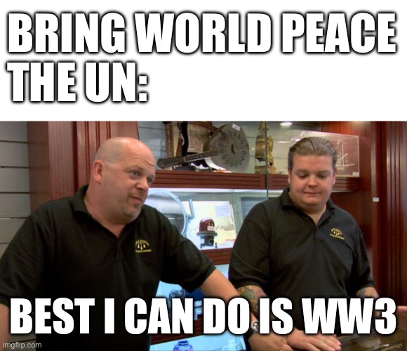 BRING WORLD PEACE
THE UN:; BEST I CAN DO IS WW3 | image tagged in memes,blank transparent square,pawn stars best i can do | made w/ Imgflip meme maker