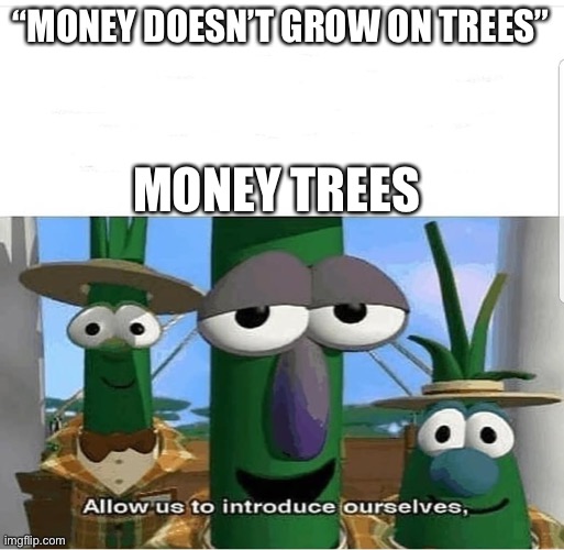 No really, they’re real | “MONEY DOESN’T GROW ON TREES”; MONEY TREES | image tagged in allow us to introduce ourselves,tree | made w/ Imgflip meme maker