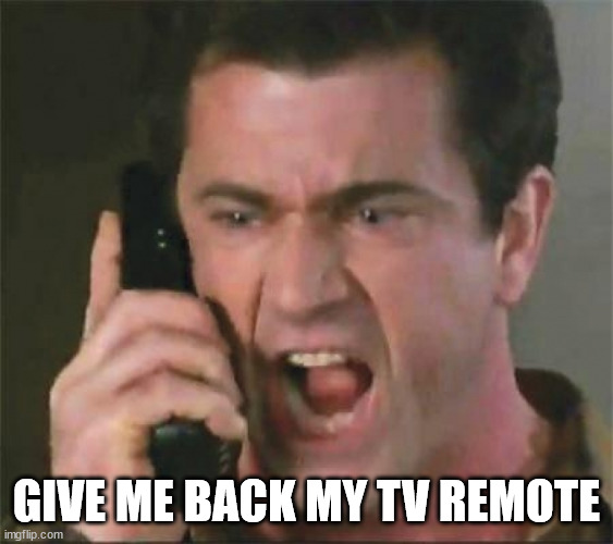 GIVE ME BACK MY SON | GIVE ME BACK MY TV REMOTE | image tagged in give me back my son | made w/ Imgflip meme maker