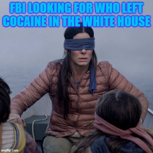 Bird Box Meme | FBI LOOKING FOR WHO LEFT COCAINE IN THE WHITE HOUSE | image tagged in memes,bird box,fbi,cocaine,hunter biden,white house | made w/ Imgflip meme maker