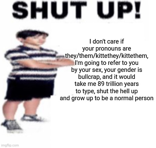 shut up | I don't care if your pronouns are they/them/kittethey/kittethem, I'm going to refer to you by your sex, your gender is bullcrap, and it would take me 89 trillion years to type, shut the hell up and grow up to be a normal person | image tagged in shut up | made w/ Imgflip meme maker