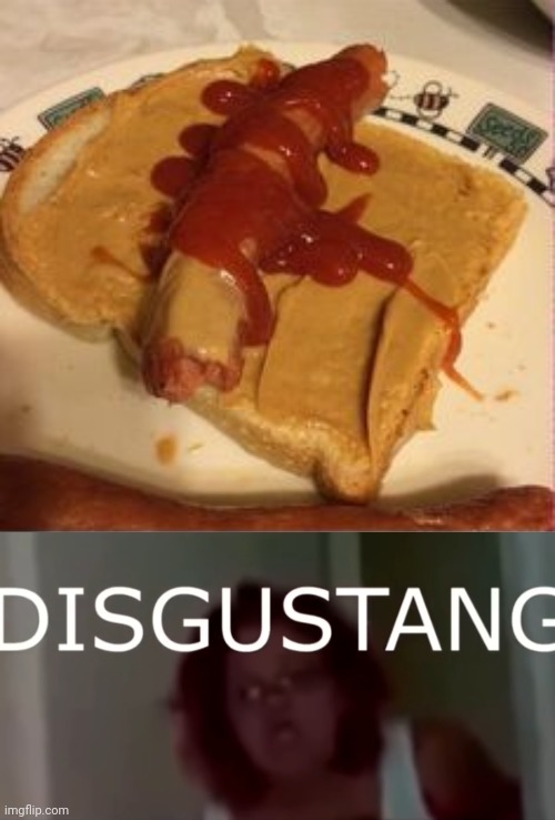 Peanut butter and ketchup hot dog | image tagged in disgustang,cursed image,hot dog,memes,peanut butter,ketchup | made w/ Imgflip meme maker