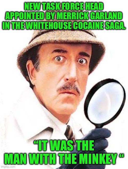 Merrick Garland is on the case | NEW TASK FORCE HEAD APPOINTED BY MERRICK GARLAND IN THE WHITEHOUSE COCAINE SAGA. “IT WAS THE MAN WITH THE MINKEY “ | image tagged in coke saga,democrats,doj | made w/ Imgflip meme maker