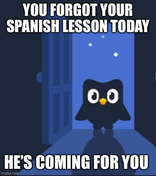 He’s coming | YOU FORGOT YOUR SPANISH LESSON TODAY; HE’S COMING FOR YOU | image tagged in duolingo bird | made w/ Imgflip meme maker