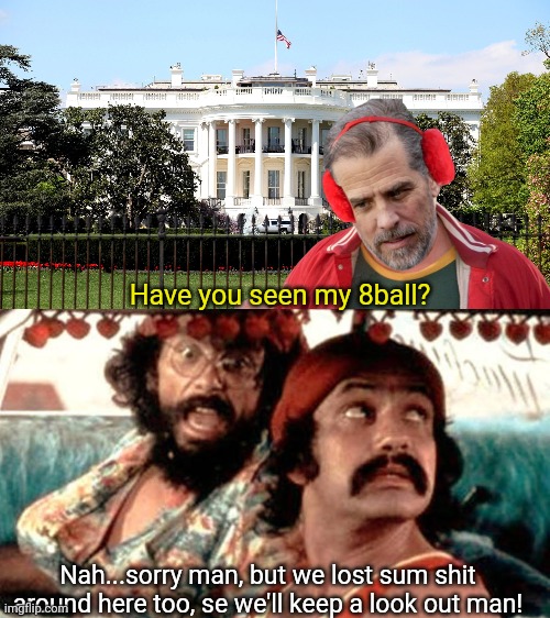 Something about up in coke. | Have you seen my 8ball? Nah...sorry man, but we lost sum shit around here too, se we'll keep a look out man! | image tagged in have you seen my baseball,cheech and chong,cocaine,weed,funny,hunter biden | made w/ Imgflip meme maker