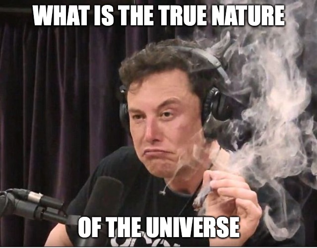 elons ai | WHAT IS THE TRUE NATURE; OF THE UNIVERSE | image tagged in elon musk smoking a joint,ai | made w/ Imgflip meme maker