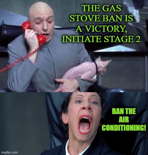 The Weaponized Appliance Regulations | THE GAS STOVE BAN IS A VICTORY, INITIATE STAGE 2; BAN THE AIR CONDITIONING! | image tagged in dr evil and frau | made w/ Imgflip meme maker