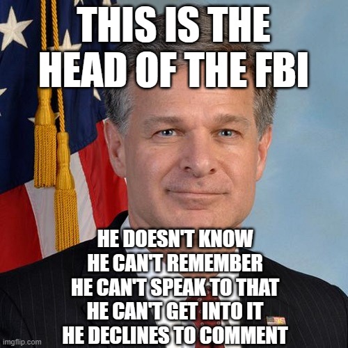 Christopher Wray, appointed head of the FBI by Donald Trump | THIS IS THE HEAD OF THE FBI; HE DOESN'T KNOW
HE CAN'T REMEMBER
HE CAN'T SPEAK TO THAT
HE CAN'T GET INTO IT
HE DECLINES TO COMMENT | image tagged in christopher wray appointed head of the fbi by donald trump | made w/ Imgflip meme maker
