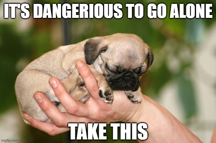 IT'S DANGERIOUS TO GO ALONE; TAKE THIS | made w/ Imgflip meme maker