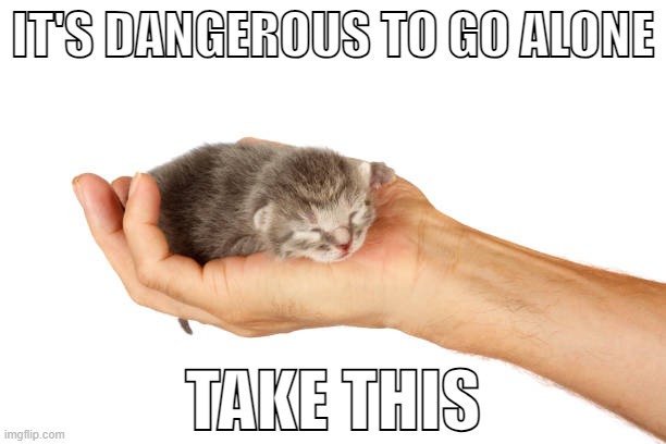 IT'S DANGEROUS TO GO ALONE; TAKE THIS | image tagged in take this | made w/ Imgflip meme maker