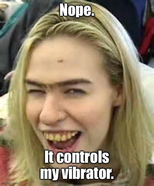 ugly girl | Nope. It controls my vibrator. | image tagged in ugly girl | made w/ Imgflip meme maker