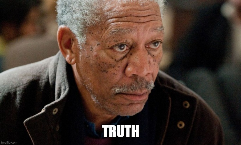 Morgan Freeman | TRUTH | image tagged in morgan freeman | made w/ Imgflip meme maker