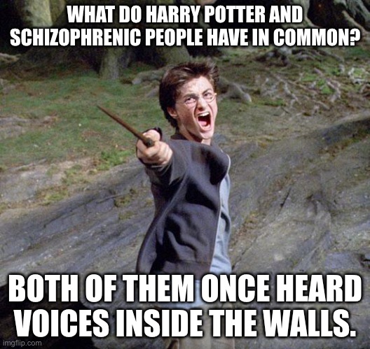 Yes | WHAT DO HARRY POTTER AND SCHIZOPHRENIC PEOPLE HAVE IN COMMON? BOTH OF THEM ONCE HEARD VOICES INSIDE THE WALLS. | image tagged in harry potter,memes,funny,dark humour,schizophrenia | made w/ Imgflip meme maker