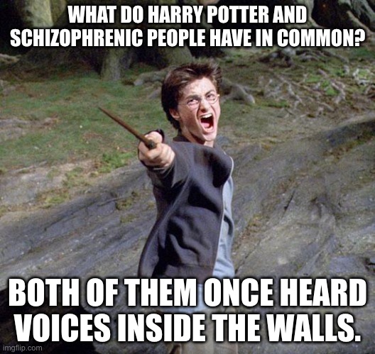 Funny Harry Potter Memes : Part 8