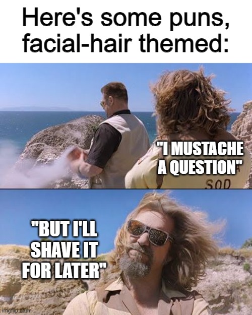 These ones are funny :O | Here's some puns, facial-hair themed:; "I MUSTACHE A QUESTION"; "BUT I'LL SHAVE IT FOR LATER" | image tagged in big lebowski - ashes in beard | made w/ Imgflip meme maker