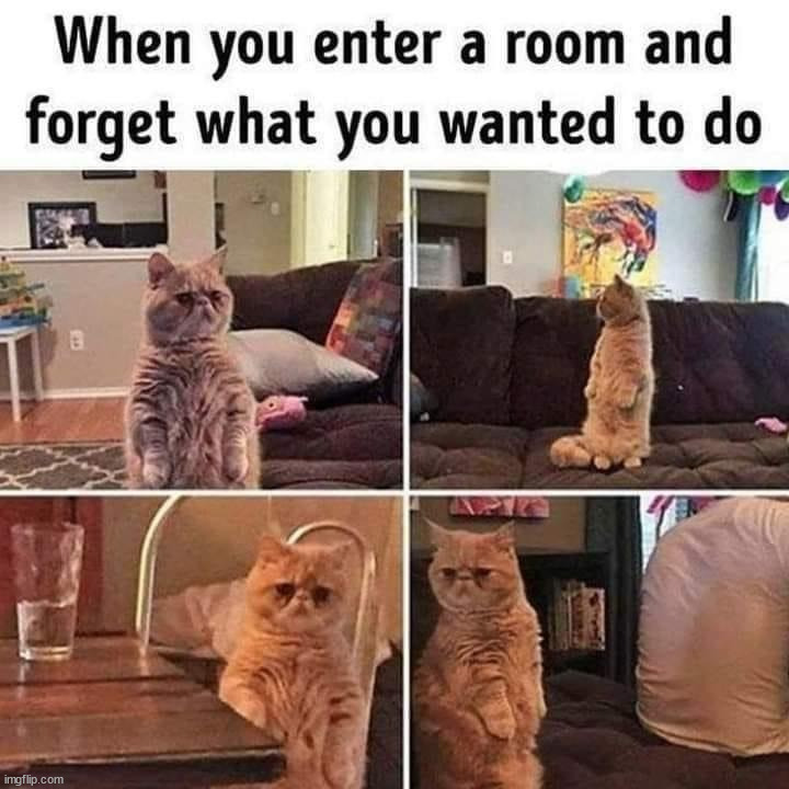 image tagged in repost | made w/ Imgflip meme maker