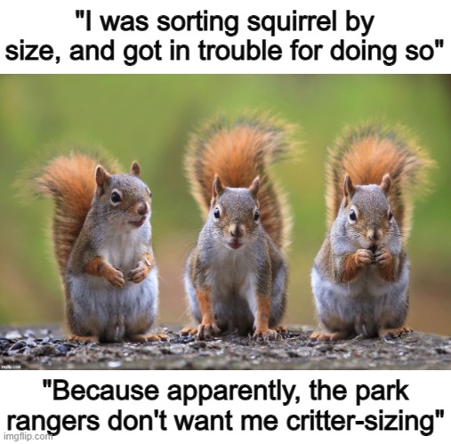 This one is good :D | "I was sorting squirrel by size, and got in trouble for doing so"; "Because apparently, the park rangers don't want me critter-sizing" | made w/ Imgflip meme maker