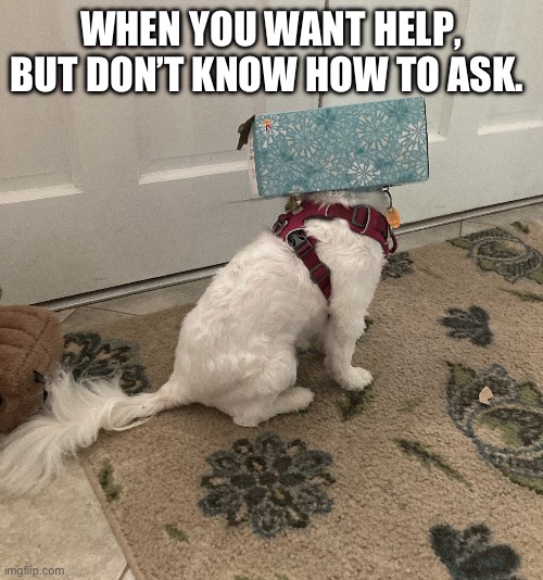 WHEN YOU WANT HELP, BUT DON’T KNOW HOW TO ASK. | image tagged in funny dogs | made w/ Imgflip meme maker
