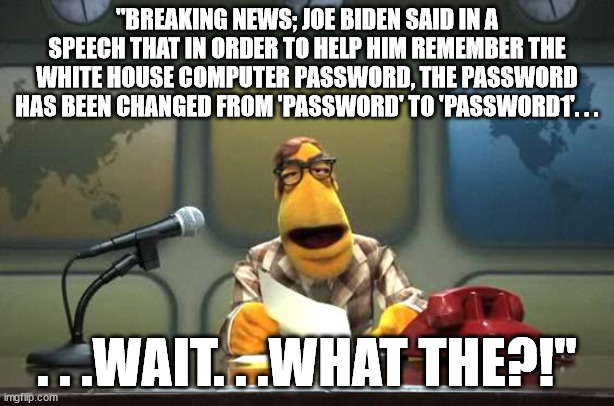 dogepadre0717 inspired me. | "BREAKING NEWS; JOE BIDEN SAID IN A SPEECH THAT IN ORDER TO HELP HIM REMEMBER THE WHITE HOUSE COMPUTER PASSWORD, THE PASSWORD HAS BEEN CHANGED FROM 'PASSWORD' TO 'PASSWORD1'. . . . . .WAIT. . .WHAT THE?!" | image tagged in muppet news flash,dementia joe,political humor,politics | made w/ Imgflip meme maker