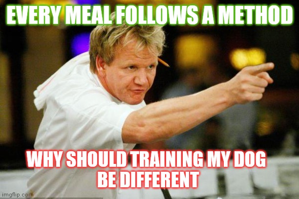Dog training the method | EVERY MEAL FOLLOWS A METHOD; WHY SHOULD TRAINING MY DOG 
BE DIFFERENT | image tagged in chef gordon ramsay angry pointing,chef gordon ramsay,dog memes | made w/ Imgflip meme maker