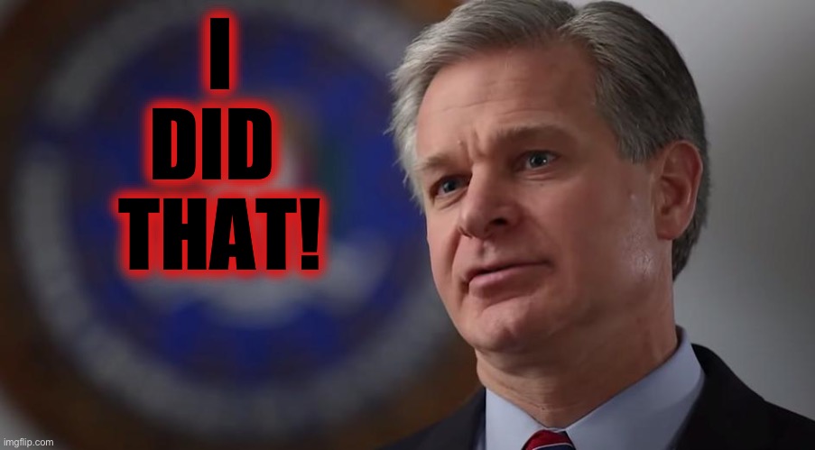 Christopher Wray | I
DID 
THAT! | image tagged in christopher wray | made w/ Imgflip meme maker