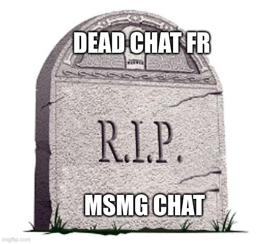 RIP | DEAD CHAT FR; MSMG CHAT | image tagged in rip | made w/ Imgflip meme maker