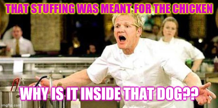 Funny dogs | THAT STUFFING WAS MEANT FOR THE CHICKEN; WHY IS IT INSIDE THAT DOG?? | image tagged in gordon ramsay,gordon ramsay some good food | made w/ Imgflip meme maker