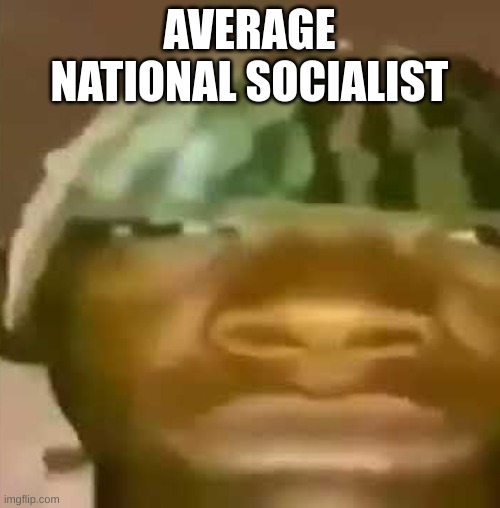 shitpost | AVERAGE NATIONAL SOCIALIST | image tagged in shitpost | made w/ Imgflip meme maker