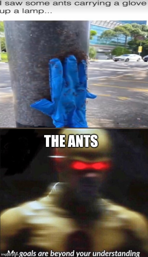Ok | THE ANTS | image tagged in my goals are beyond your understanding | made w/ Imgflip meme maker