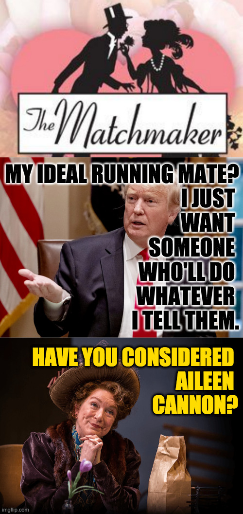 Sometimes the girl of your dreams is right under your nose. | MY IDEAL RUNNING MATE?
I JUST 
WANT 
SOMEONE 
WHO'LL DO 
WHATEVER 
I TELL THEM. HAVE YOU CONSIDERED 
AILEEN 
CANNON? | image tagged in memes,trump,aileen cannon,election 2024 | made w/ Imgflip meme maker