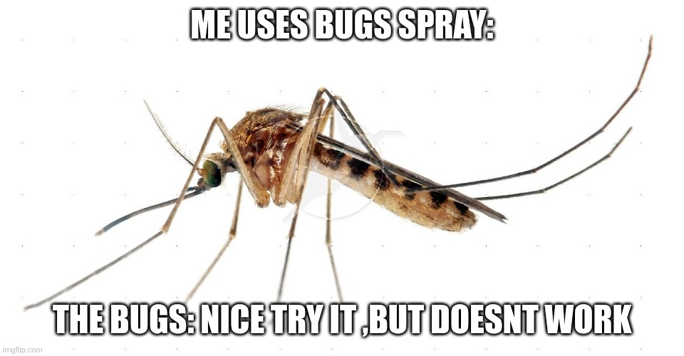 WHY WONT IT WORK | ME USES BUGS SPRAY: THE BUGS: NICE TRY IT ,BUT DOESNT WORK | image tagged in mosquito,annoying,relatable,fun,funny,bugs | made w/ Imgflip meme maker