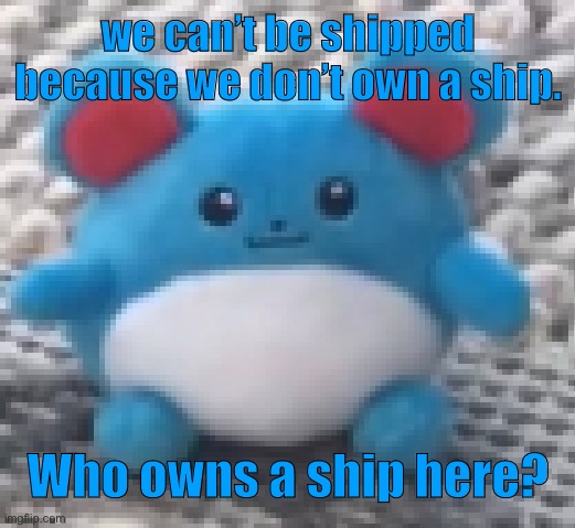 Marill 6 | we can’t be shipped because we don’t own a ship. Who owns a ship here? | image tagged in marill 6 | made w/ Imgflip meme maker