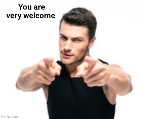 Hey you! | You are very welcome | image tagged in hey you | made w/ Imgflip meme maker