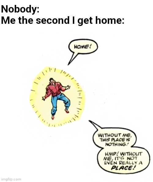 Home! | Nobody:
Me the second I get home: | image tagged in home | made w/ Imgflip meme maker