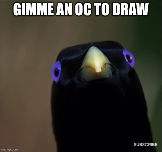 Ron the bird | GIMME AN OC TO DRAW | image tagged in ron the bird | made w/ Imgflip meme maker