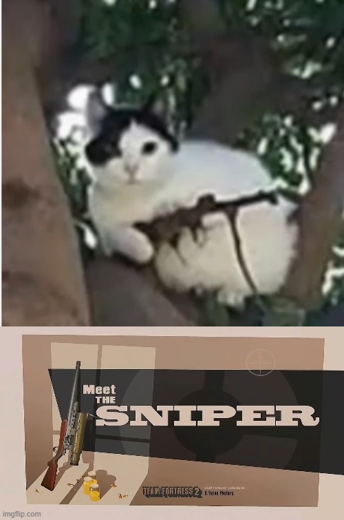 image tagged in meet the sniper | made w/ Imgflip meme maker