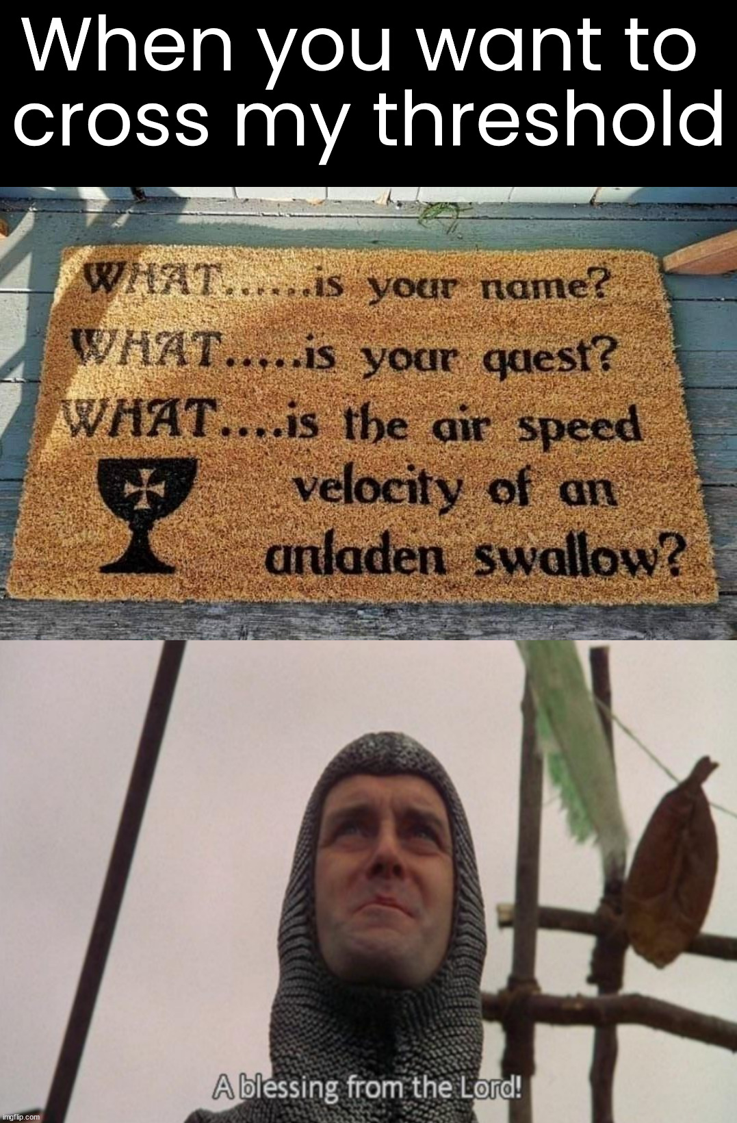 Great questions to those in the know. | When you want to 
cross my threshold | image tagged in a blessing from the lord,monty python and the holy grail,questions | made w/ Imgflip meme maker