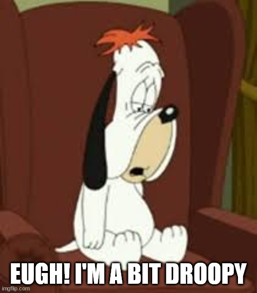 Droopy Dog | EUGH! I'M A BIT DROOPY | image tagged in droopy dog | made w/ Imgflip meme maker