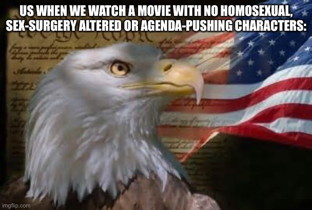 American Eagle | US WHEN WE WATCH A MOVIE WITH NO HOMOSEXUAL, SEX-SURGERY ALTERED OR AGENDA-PUSHING CHARACTERS: | image tagged in american eagle | made w/ Imgflip meme maker